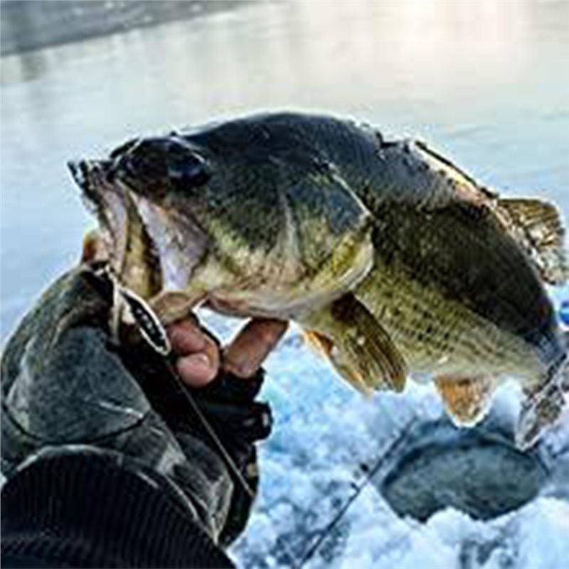 Fishing Boat Depth Finder - ABLB-เครื่องตรวจจับปลาสำหรับเรือคายัค ทรานสดิวเซอร์แบบพกพา เครื่องวัดความลึกของปลา โซนาร์แบบมือถือ หน้าจอ LCD