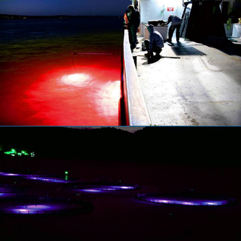 MINI Fishing Attraction โคมไฟเ - Fishing Boat Navigation Light บทวิจารณ์และราคา
